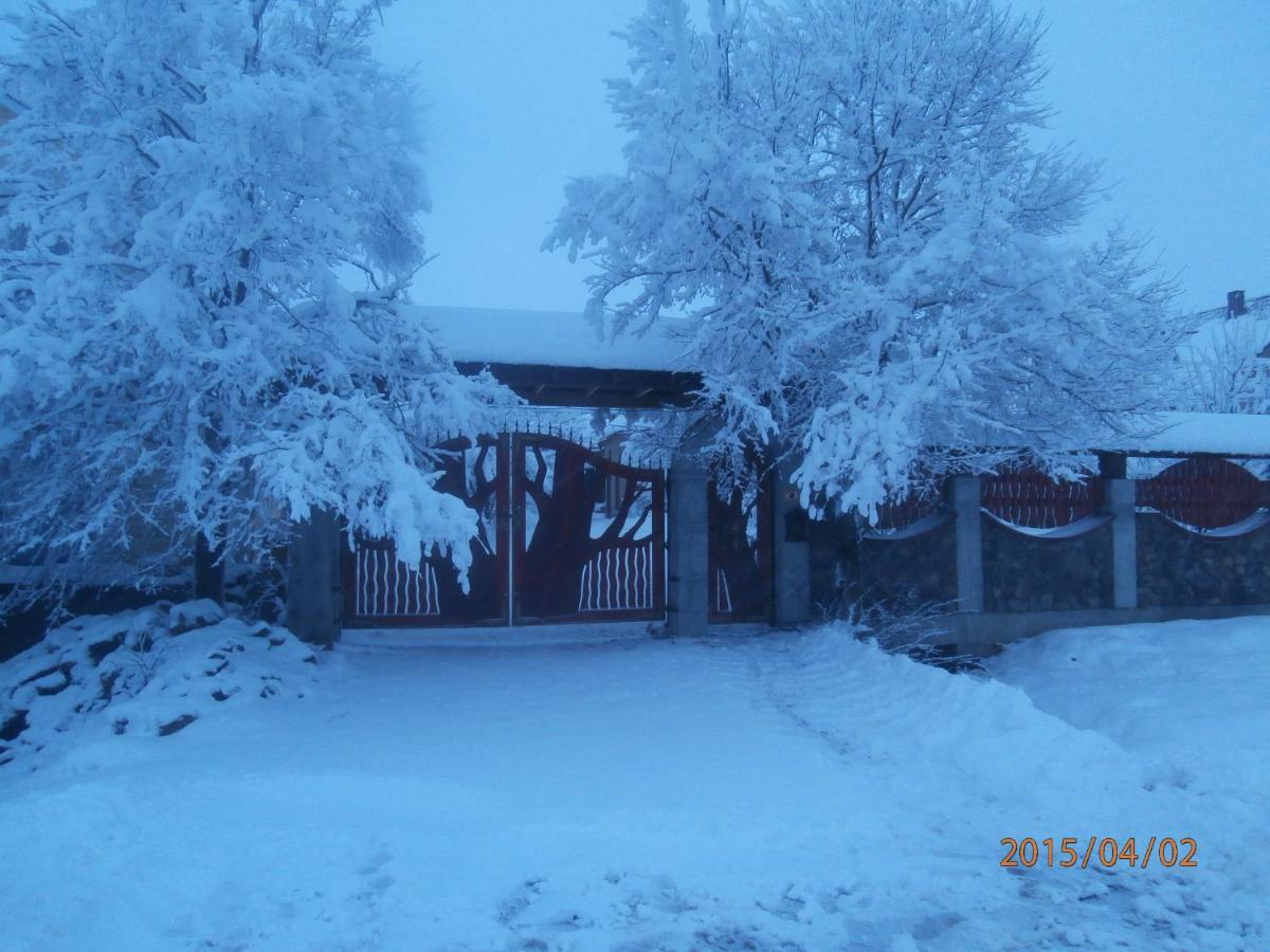 Karpatskiy Domyk Izky Exterior foto